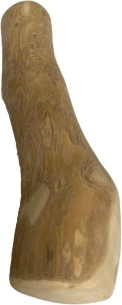 BoDutch - Koffieboom Kauwwortel - Maat L - Hondensnack -Hondenartikelen Serie Winkel 483x1200