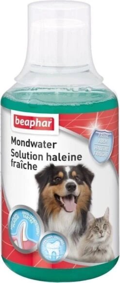 Beaphar Mondwater - 250 Ml 11 Beaphar Mondwater - 250 Ml -Hondenartikelen Serie Winkel 509x1200