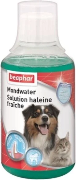 Beaphar Mondwater - 250 Ml 13 Beaphar Mondwater - 250 Ml -Hondenartikelen Serie Winkel 512x1200 1