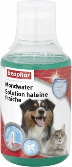 Beaphar Mondwater Hond/Kat - Gebitsverzorging - 3 X 250 Ml 9 Beaphar Mondwater Hond/Kat - Gebitsverzorging - 3 X 250 Ml -Hondenartikelen Serie Winkel 517x1200 1