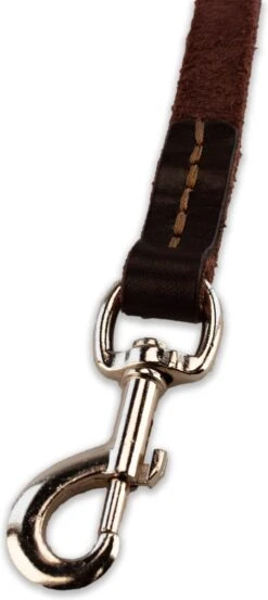 Multifunctionele Hondenriem - 220cm - Bruin - Leren Hondenriem - 100% Volnerfleer - Hondenriem Leer - Leiband Hond -Hondenartikelen Serie Winkel 536x1200 1