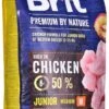 Brit Premium By Nature Hondenvoer Junior M 15 Kg - Hond -Hondenartikelen Serie Winkel 551x1200