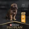 Pro Plan Healthy Start Puppy Large Robust - Honden Droogvoer - Kip - 12 Kg 1 Pro Plan Healthy Start Puppy Large Robust - Honden Droogvoer - Kip - 12 Kg -Hondenartikelen Serie Winkel 573x1200 3