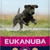 Eukanuba Developing Junior Large Breed Kip - Hondenvoer - 15 Kg -Hondenartikelen Serie Winkel 577x1200
