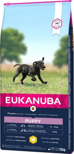 Eukanuba Dog Puppy Large Breed - Kip - Puppyvoer - 15 Kg -Hondenartikelen Serie Winkel 581x1200 1