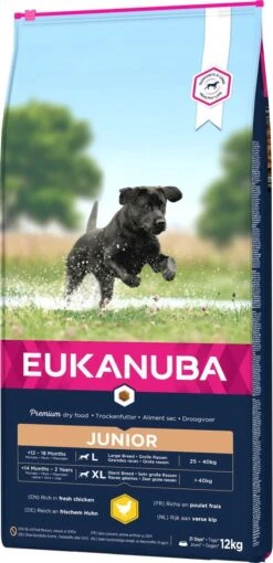 Eukanuba Developing Junior Large Breed Kip - Hondenvoer - 15 Kg -Hondenartikelen Serie Winkel 581x1200