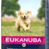 Eukanuba Dog Puppy & Junior - All Breeds - Lamb & Rice - 12 Kg 2 Eukanuba Dog Puppy & Junior - All Breeds - Lamb & Rice - 12 Kg -Hondenartikelen Serie Winkel 620x1200