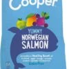 Edgard & Cooper Verse Noorse Zalm Adult - Hondenvoer - 7kg