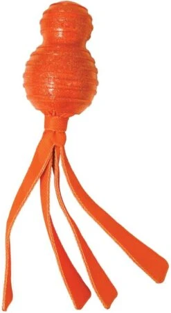 Kong Wubba Comet - Hondenspeelgoed - Assorti - M -Hondenartikelen Serie Winkel 657x1200 7