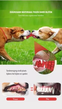 3-in-1 Hondenkauwbot - Gebitsverzorging - IQ Training - Voedsel Afgifte Functie - Geometrisch Ontwerp - Duurzaam & Milieuvriendelijk - Kauwbot - Honden - Hondenbot - Rood 13 3-in-1 Hondenkauwbot - Gebitsverzorging - IQ Training - Voedsel Afgifte Functie - Geometrisch Ontwerp - Duurzaam & Milieuvriendelijk - Kauwbot - Honden - Hondenbot - Rood -Hondenartikelen Serie Winkel 684x1200