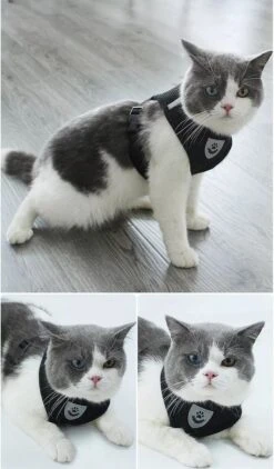 Zavelo® Honden Tuigje - Puppy En Kattentuigje - Hondenharnas - Reflecterend - Incl. Bijpassend Riempje - Zwart-Maat: S -Hondenartikelen Serie Winkel 703x1200