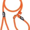 Rebel Petz - Honden Trainingslijn Met Halsband - Taupe, Zwart, Groen & Oranje - Maat Small Of Large - Kleur: Oranje, Maat: Large -Hondenartikelen Serie Winkel 706x1200 2
