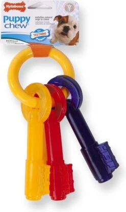 Nylabone Puppy Teething Key Flexible Geel&Blauw&Rood - Hondenspeelgoed - Wolf Tot 16kg -Hondenartikelen Serie Winkel 713x1200 4