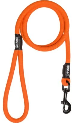 Rebel Petz - Sterke Gevlochten Hondenlijn Van Touw - Kleur: Oranje, Maat: Large 30 Rebel Petz - Sterke Gevlochten Hondenlijn Van Touw - Kleur: Oranje, Maat: Large -Hondenartikelen Serie Winkel 730x1200 3
