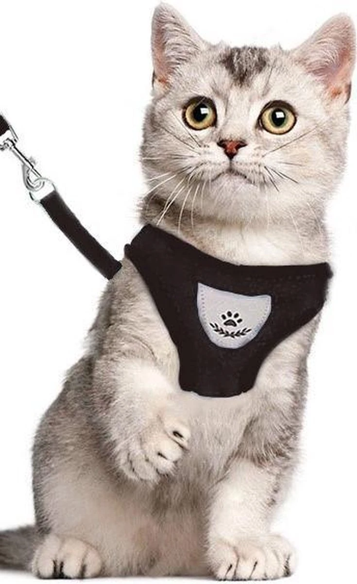 Luxyana® Hondentuigje - S - 28-32cm - Geschikt Voor Kleine Honden En Als Kattenharnas - Easy Step-in Hondentuigje Voor De Kleine Hond Of Kat - Inclusief Bijpassend Riempje - Zwart 10 Luxyana® Hondentuigje - S - 28-32cm - Geschikt Voor Kleine Honden En Als Kattenharnas - Easy Step-in Hondentuigje Voor De Kleine Hond Of Kat - Inclusief Bijpassend Riempje - Zwart - Afbeelding 8