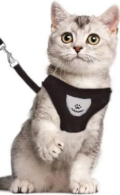 Luxyana® Honden Tuigje - XS - 25-28cm - Geschikt Voor Puppy En Als Kattentuigje - Easy Step-in Hondenharnas - Inclusief Bijpassend Riempje - Zwart 22 Luxyana® Honden Tuigje - XS - 25-28cm - Geschikt Voor Puppy En Als Kattentuigje - Easy Step-in Hondenharnas - Inclusief Bijpassend Riempje - Zwart -Hondenartikelen Serie Winkel 735x1200