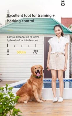 Anti Blafband EN Trainingshalsband In 1 - UNIEK SYSTEEM - 1000m Bereik - 100 Levels -Hondenartikelen Serie Winkel 745x1200 3