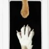 PrintMe - Paw Print Pad - Groter Formaat - Pootafdruk Maken Van Hond Of Kat - Zeer Gemakkelijk - Verbeterd Formaat! - Geen Inkt Op De Poot Van Uw Huisdier- Groot - Leuk Als Cadeau! -Hondenartikelen Serie Winkel 750x1200 12