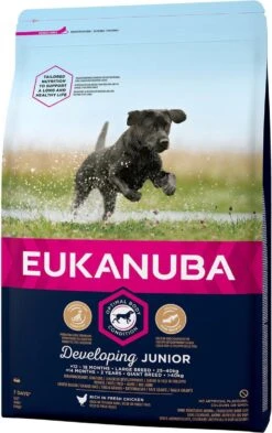 Eukanuba Developing Junior Large Breed Kip - Hondenvoer - 15 Kg -Hondenartikelen Serie Winkel 755x1200