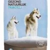 Healthy Dog - Hondenvoer - Probiotics 15 Kg 1 Healthy Dog - Hondenvoer - Probiotics 15 Kg -Hondenartikelen Serie Winkel 766x1200