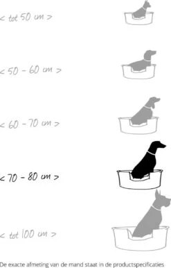 Hondenmand Zacht En Stevig, Anti-Slip En Wasbaar - Scruffs Chester Box Bed - In Grijs En Bruin In Maat S Tot XL - Kleur: Grijs, Maat: Extra Large 41 Hondenmand Zacht En Stevig, Anti-Slip En Wasbaar - Scruffs Chester Box Bed - In Grijs En Bruin In Maat S Tot XL - Kleur: Grijs, Maat: Extra Large -Hondenartikelen Serie Winkel 767x1200 3