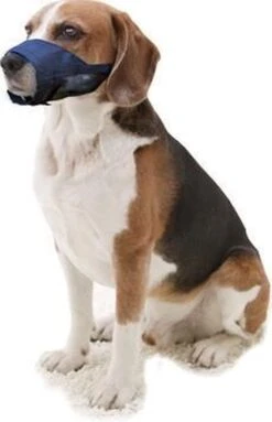 Pawise Muilkorf Adjustable - L - Size 9 Pawise Muilkorf Adjustable - L - Size -Hondenartikelen Serie Winkel 773x1200 2