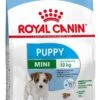Royal Canin Mini Junior 8 KG