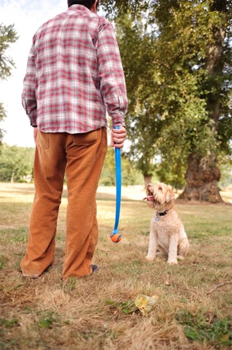 Chuckit! Ultra Ball M – Honden Speelgoed – Hondenbal– Drijft Op Water – Stuitert – Veilig Voor Gebit – Honden Bal – Ideaal Met De Ballenwerper – Ø 6cm – Oranje/Blauw – Hondenspeeltjes– 4-Pack 7 Chuckit! Ultra Ball M – Honden Speelgoed – Hondenbal– Drijft Op Water – Stuitert – Veilig Voor Gebit – Honden Bal – Ideaal Met De Ballenwerper – Ø 6cm – Oranje/Blauw – Hondenspeeltjes– 4-Pack - Afbeelding 5