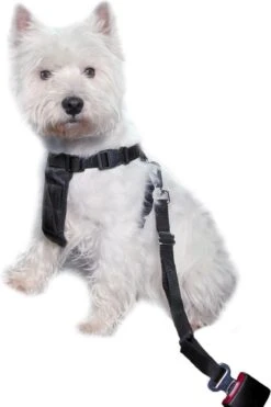 Trixie Auto-Tuig Zwart Maat - M 29 Trixie Auto-Tuig Zwart Maat - M -Hondenartikelen Serie Winkel 798x1200 5