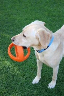 Happy Pet Grubber Voetbal - Apporteren - Ø 18 Cm -Hondenartikelen Serie Winkel 798x1200 7