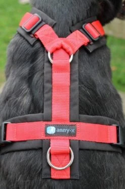 Annyx Hondentuig Harnas Zwart Rood - Y Model - Maat S Is Geschikt Voor Borstomvang 52-64cm. -Hondenartikelen Serie Winkel 799x1200 8
