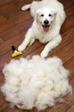 Furminator® Hond Langhaar - Vermindert Haaruitval Tot 90% - Hondenborstel - L -Hondenartikelen Serie Winkel 800x1200 11
