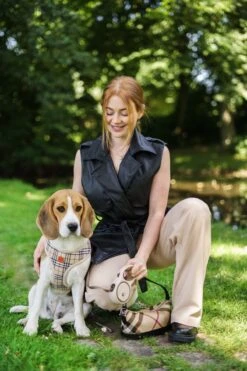 Hondenriem - Leiband Hond - Rollijn - 5 Meter - Beige - Riem Met Oprolsysteem - Hondenriem Flexi - Hondenlijn - Uitlaatriem 16 Hondenriem - Leiband Hond - Rollijn - 5 Meter - Beige - Riem Met Oprolsysteem - Hondenriem Flexi - Hondenlijn - Uitlaatriem -Hondenartikelen Serie Winkel 800x1200 26