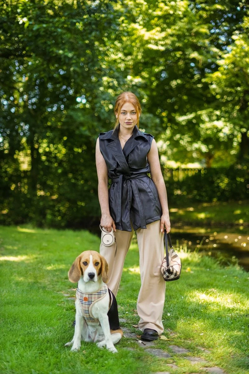 Hondenriem - Leiband Hond - Rollijn - 5 Meter - Beige - Riem Met Oprolsysteem - Hondenriem Flexi - Hondenlijn - Uitlaatriem 10 Hondenriem - Leiband Hond - Rollijn - 5 Meter - Beige - Riem Met Oprolsysteem - Hondenriem Flexi - Hondenlijn - Uitlaatriem - Afbeelding 8