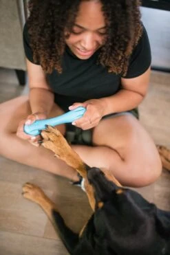 West Paw Zogoflex Hurley - Super Sterk Kauwbot Voor Honden - Kleur: Blauw, Maat: Large -Hondenartikelen Serie Winkel 800x1200 85