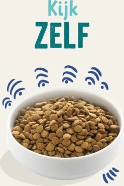 Edgard & Cooper Verse Noorse Zalm Adult - Hondenvoer - 7kg 35 Edgard & Cooper Verse Noorse Zalm Adult - Hondenvoer - 7kg -Hondenartikelen Serie Winkel 801x1200 1