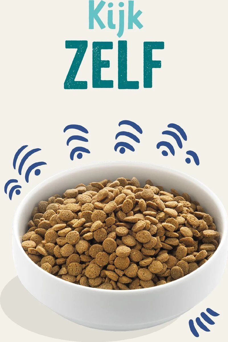 Edgard & Cooper Verse Noorse Zalm Adult - Hondenvoer - 7kg 16 Edgard & Cooper Verse Noorse Zalm Adult - Hondenvoer - 7kg - Afbeelding 14