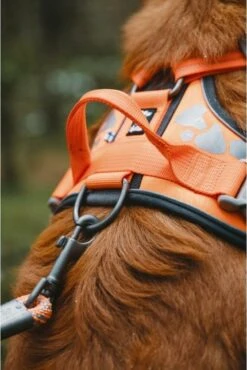 Hurtta Weekend Warrior Harness Zwart Maat - 60-80 -Hondenartikelen Serie Winkel 802x1200 9