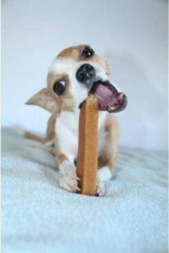 Coucour - Yak Kaas - Hondensnacks - Himalayan Cheese Bone - Medium 70Gram -Hondenartikelen Serie Winkel 804x1200