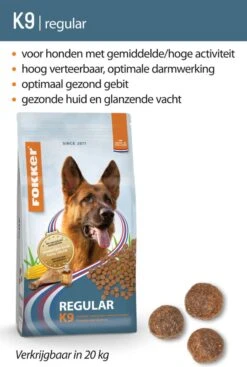 Fokker Hondenvoer Regular K9 20 Kg 17 Fokker Hondenvoer Regular K9 20 Kg -Hondenartikelen Serie Winkel 808x1200 2