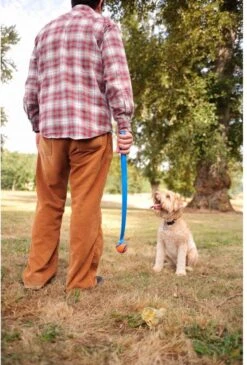 Chuckit! Chuckit Pro Ball - Werpstok - Apporteren- 25m Ver - 63 Cm -Hondenartikelen Serie Winkel 813x1200 6