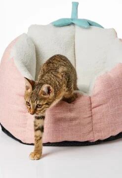PETKIT® Strawberry Mand – Hondenmand – Kattenmand – Roze -Hondenartikelen Serie Winkel 823x1200