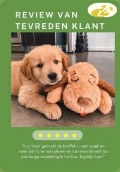 Woefie Hondenknuffel Met Hartslag - Puppyknuffel - Pluche- Puppy Speelgoed- Snuggle Puppy Xl- Knuffel Hond- Baby Knuffel- Knuffel Met Hartslag - Moederhond - Gratis E-Boek - Gratis Schroevendraaier -Hondenartikelen Serie Winkel 840x1200 8