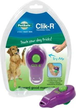Petsafe Clicker Voor Training 7 Petsafe Clicker Voor Training -Hondenartikelen Serie Winkel 846x1200 1