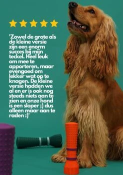 Furmey Zoomies - Honden Speelgoed - Hondenspeeltjes - Kauwbotten Hond - S Groen - 17 Cm 13 Furmey Zoomies - Honden Speelgoed - Hondenspeeltjes - Kauwbotten Hond - S Groen - 17 Cm -Hondenartikelen Serie Winkel 848x1200 2