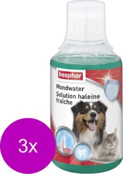 Beaphar Mondwater Hond/Kat - Gebitsverzorging - 3 X 250 Ml 8 Beaphar Mondwater Hond/Kat - Gebitsverzorging - 3 X 250 Ml -Hondenartikelen Serie Winkel 850x1200 6
