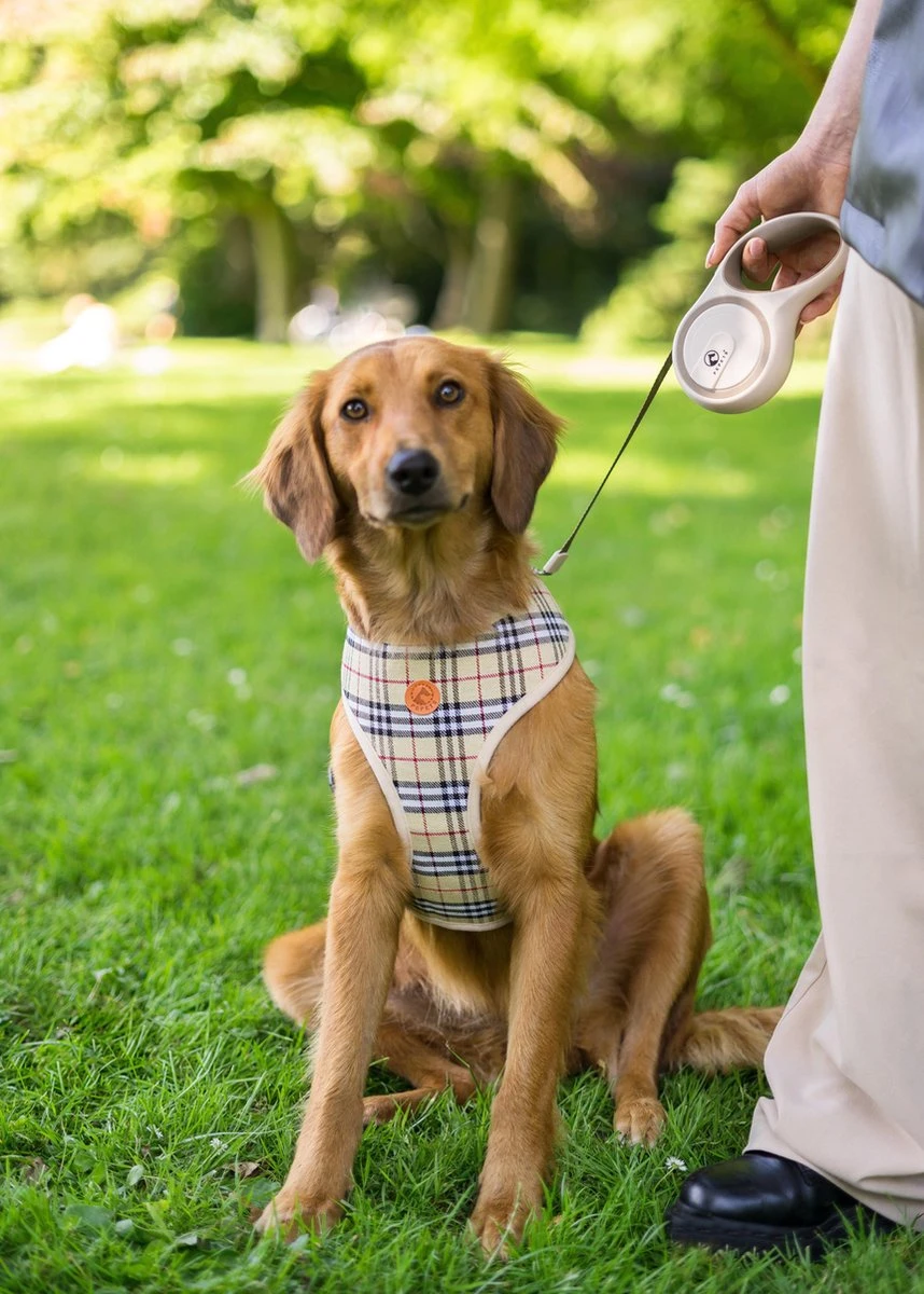 Hondenriem - Leiband Hond - Rollijn - 5 Meter - Beige - Riem Met Oprolsysteem - Hondenriem Flexi - Hondenlijn - Uitlaatriem 9 Hondenriem - Leiband Hond - Rollijn - 5 Meter - Beige - Riem Met Oprolsysteem - Hondenriem Flexi - Hondenlijn - Uitlaatriem - Afbeelding 7