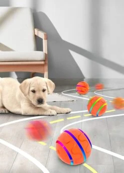 Good Experience Interactieve Hondenbal 3.0 – Honden Speelgoed Intelligentie – Puppy Speelgoed – Hondenspeeltjes – De Enige Die Werkt Met Afstandsbediening – De Veilige Bal Voor Jouw Hond – One Size – Oranje -Hondenartikelen Serie Winkel 863x1200 3