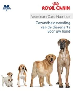 Royal Canin Large Dog Neutered Adult - 15 Maanden - Hondenvoer - 12 Kg -Hondenartikelen Serie Winkel 866x1200 3