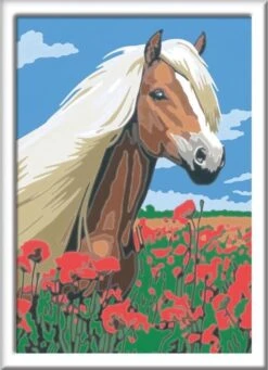 Ravensburger Schilder Op Nummer 3in1 Set Dieren 8 Ravensburger Schilder Op Nummer 3in1 Set Dieren -Hondenartikelen Serie Winkel 868x1200 2